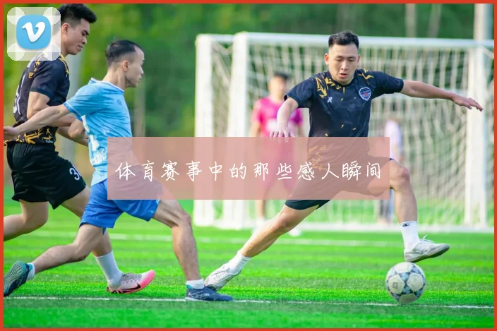 体育赛事中的那些感人瞬间