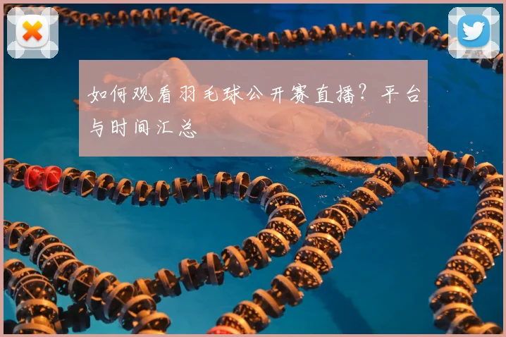 如何观看羽毛球公开赛直播?平台与时间汇总