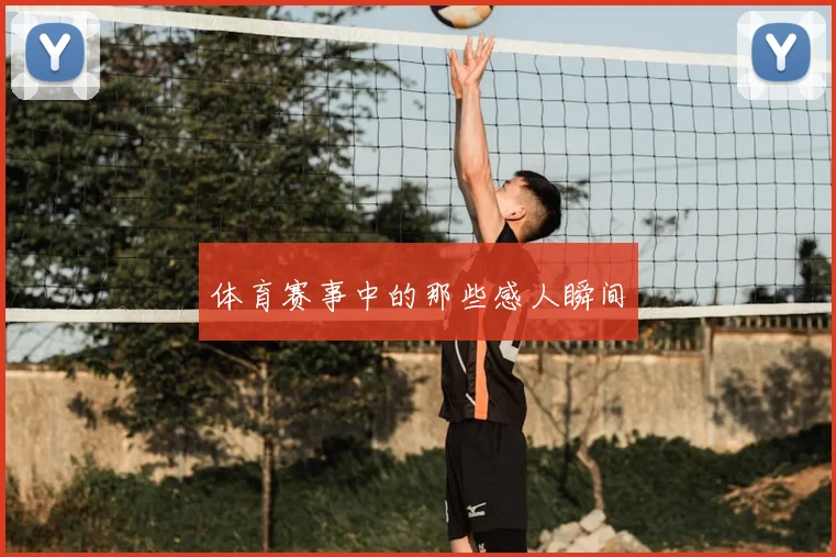 体育赛事中的那些感人瞬间