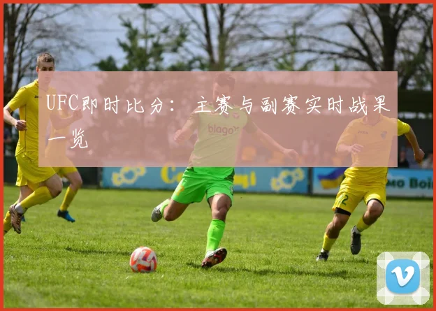 UFC即时比分:主赛与副赛实时战果一览