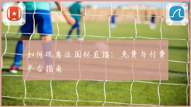 如何观看法国杯直播:免费与付费平台指南