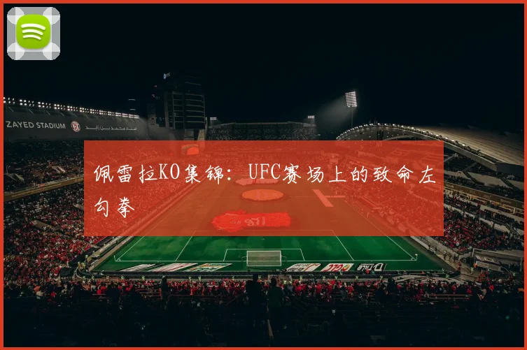 佩雷拉KO集锦:UFC赛场上的致命左勾拳