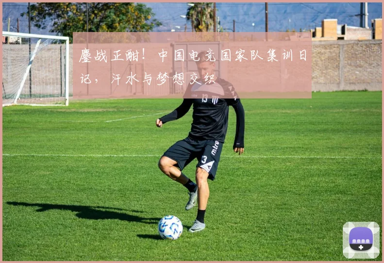 鏖战正酣!中国电竞国家队集训日记,汗水与梦想交织