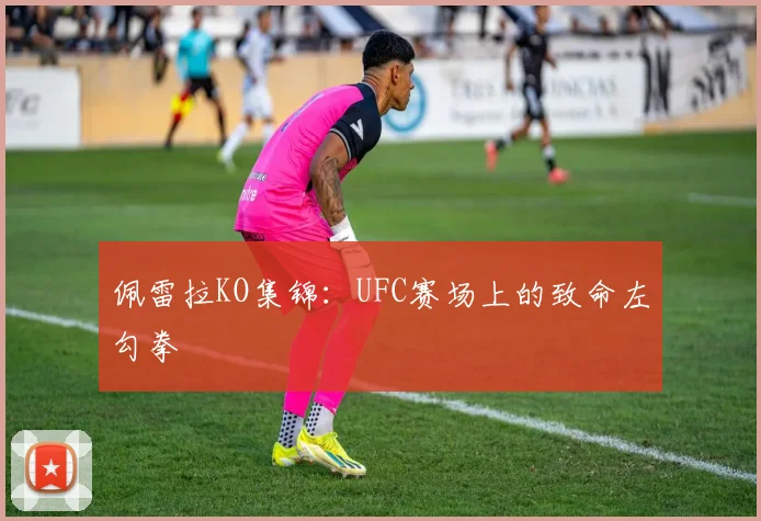 佩雷拉KO集锦：UFC赛场上的致命左勾拳