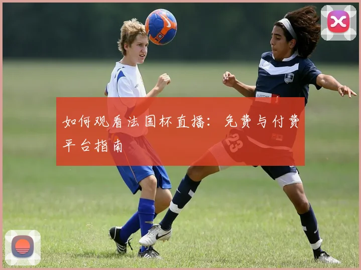 如何观看法国杯直播:免费与付费平台指南