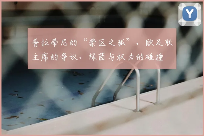 普拉蒂尼的“禁区之狐”,欧足联主席的争议,绿茵与权力的碰撞