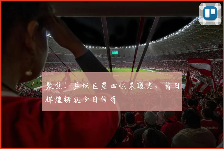 聚焦!乒坛巨星回忆录曝光,昔日辉煌铸就今日传奇