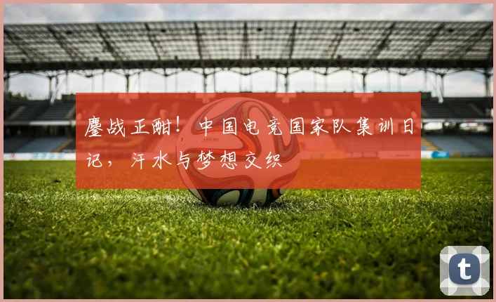鏖战正酣!中国电竞国家队集训日记,汗水与梦想交织