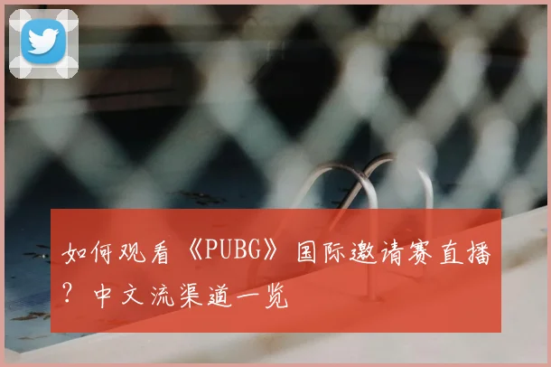 如何观看《PUBG》国际邀请赛直播？中文流渠道一览